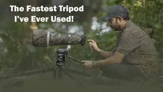 SIRUI SVS75 Rapid System Tripod Review | The Best Tripod for Wildlife & Video Creators?