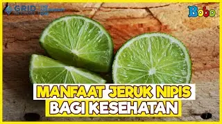 Fakta Menarik - Manfaat Jeruk Nipis Bagi Kesehatan Tubuh, Salah Satunya Dapat Melancarkan Pencernaan