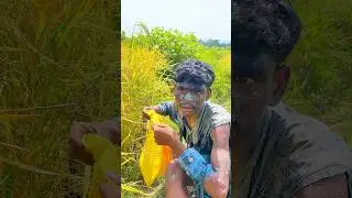 कलुआ को पकड़ना मुश्किल है || NEW HO COMEDY 2025 || #comedy #hocomedyvideo