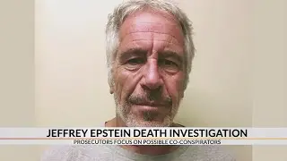 Jeffrey Epstein death investigation