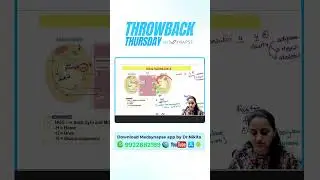 Throwback Thursday: Lipoprotein Lipase &ndash; The Fat Clearing Enzyme!