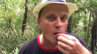 # 8 Brazylia wycieczka: wyprawa do Amazonii (Amazonia)