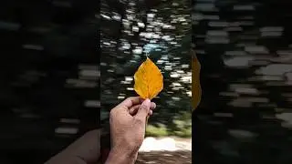 Try this Creative Photography with your phone 💡📱 Easy Trick #youtubeshorts  #photography