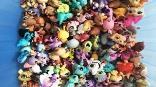 Má Littlest Pet Shop sbírka! (500+LPS)