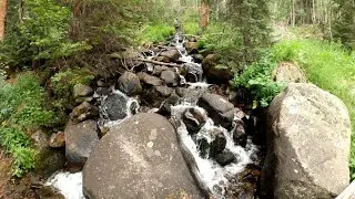 Turquoise Lake Trail Leadville, CO
