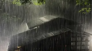 Put You to Sleep in 3 Minutes &mdash; Intense Rainstorm & Loud Thunder on Tin Roof