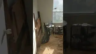 Thayor-Post tenant move out & water damage clean up 