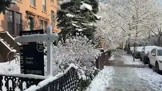 First Snow of 2025/26, Carroll Gardens, Brooklyn, New York (12-14-25)