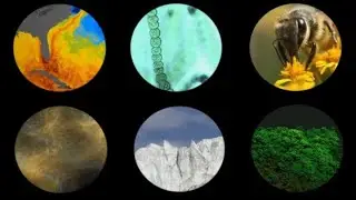 Satellites Monitoring Food Production Byproducts | The Space-Earth Connection