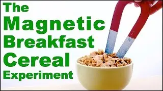 Cool Science Experiment #11 (Magnetic Breakfast Cereal)