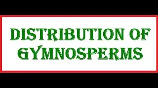 Distribution of Gymnosperms