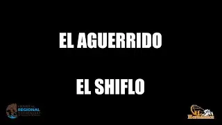 CARRERAS EN SARIC 25.12.27  6a aguerrido vs shiflo