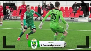 ФК Гомель 3 - 1 ФК Арсенал 25 02 2021 Голы
