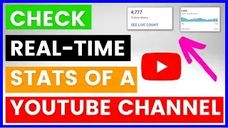 How To Check Real-Time Stats Of YouTube Channel Analytics Data? [in 2025]