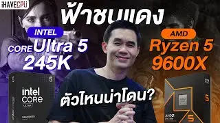 จับฟ้าชนแดง Intel Core Ultra 5 245K VS AMD Ryzen 5 9600X ตัวไหนน่าโดน | iHAVECPU