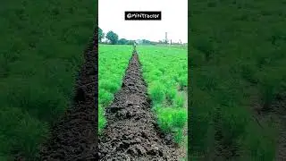 Gujarat song status video 👳#tending #status #short #farming #minivlog #kheti #kisan #tractor #farmer