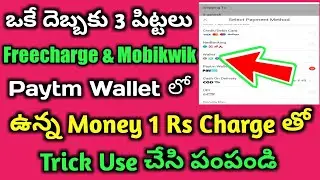 Best Tricks Transfer Paytm, Freecharge,Mobikwik,airtel wallets to Bank Account Immediately