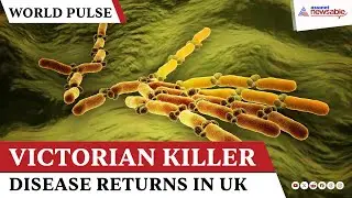 World Pulse | Victorian Killer Disease RETURNS: Cholera in the UK via &lsquo;Holy Water&rsquo; from Ethiopia
