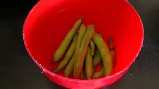 Bobul si fasolea păstăi.(Fava Beans and pod beans).