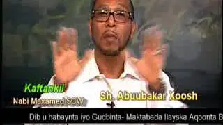 Kaftankii Nabiga SCW Sh  Abokor Xoosh