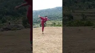 kungfu kicks