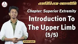 MBBS, Anatomy, Chapter: Superior Extremity - Introduction To The Upper Limb (5/5)