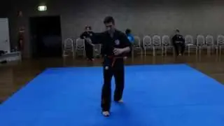 Turning Side Fall demonstrated by Darien Engler at Scorpion Martial Arts