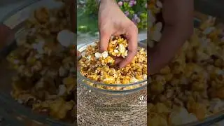 Popcorn al caramello PRONTI IN 5&rsquo; *ecco come renderli CROCCANTISSIMI* 🍿#shorst