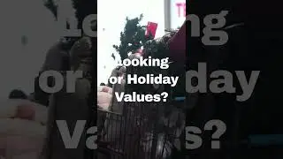 Where to find the best holiday values?#wegotorego