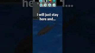 Fake shark prank gone wrong😭😭