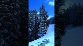 Winter Train Journey in Switzerland #shorts #view #trainjourney #swiss #mustvisit #travel #europe