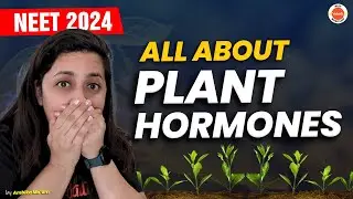 Complete PLANT HORMONES in One Shot | NEET 2023 | Class 11 Biology | CBSE | NCERT | Ambika Mam