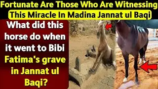 The Legendary Horse Foretold by the Prophet PBUH &ndash; A True Miracle!