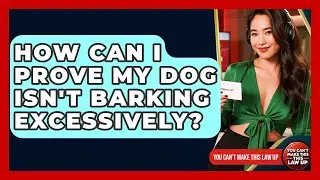 How Can I Prove My Dog Isn't Barking Excessively? - You Cant Make This Law Up