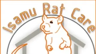 A tour of the Isamu rat room
