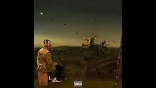 ZCN - FABEV Freestyle
