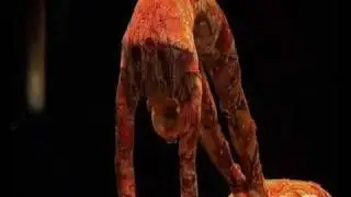 Kooza Cirque Du Soleil Contortionist