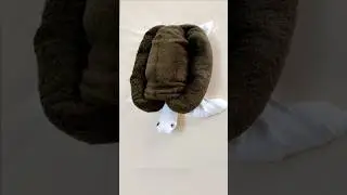 КАК СДЕЛАТЬ ЧЕРЕПАХУ ИЗ ПОЛОТЕНЕЦ.