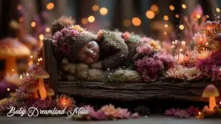 Newborn Sleep Lullabies ~ Soft Piano Baby Sleep Music for Calming Bedtime Routine & More