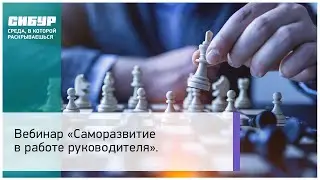 Вебинар: &laquo;Саморазвитие в работе руководителя&raquo;