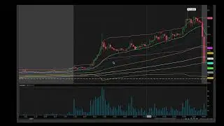 Trading Journal 1 16 2024 $PHUN $DWAC $HMST