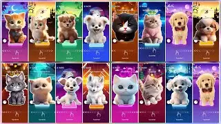 Cute Cats vs Dogs Tiles Hop Edm Gameplay