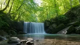 Pure River Ambience 🌊 ASMR Water Sounds (No Music)