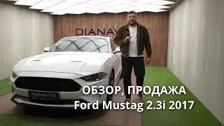 В продаже Ford Mustang 2.3i 2017 за 25500$ #ford #fordmustang #mustang #обзоравто #продажаавто