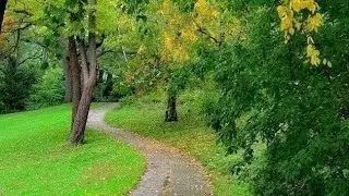 Eternal Depth|soothing relaxation|Nu meditation music|sounds of nature|meditation relax music|