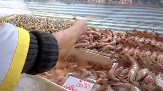 Camarão na feira