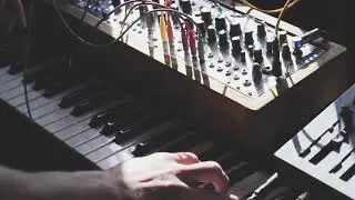 Yamaha DX7 through Eurorack (Ambient Musings #19)