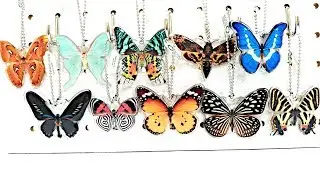 Gashapon Lepidoptera Moths Specimen SCIENCE TECHNI COLOUR