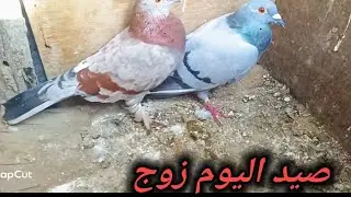 صيد اليوم مو طبيعي 😧) قيررت محتوه القناه 😍