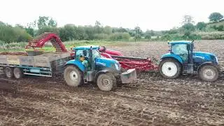 Potatoes at Tullyhogue